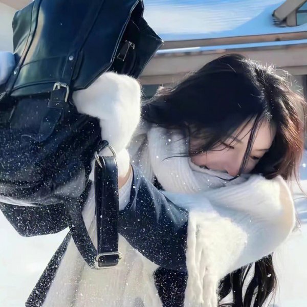 雌雄双谍